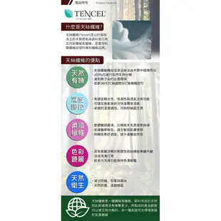 100%天絲．100支．超柔觸感．標準/加大/雙人床包組兩用鋪棉被套 【名流寢飾家居館】