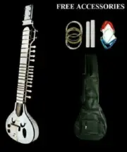 New Instrument Hand Painted Tun Wood Right & left Handed Electric String Travel