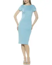 Alexia Admor Crysta Sheath Dress