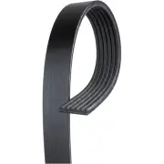 6K415AP Gates Drive Belt for VW Pickup Audi TTS Quattro Volkswagen Golf TT R Eos (for: Audi)