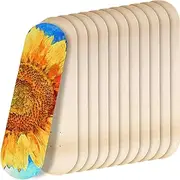 12 Pack Blank Skateboard Decks Maple Skateboard Deck 7 Ply Wooden Skate Decks Natural Wood Double Tail Plain Skateboard Concave Light Deck Bulk for Art Painting Home Decoration (8 x 28 in)