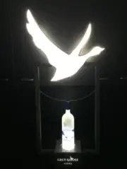 Grey Goose Light Up Bottle Presenter Display FREE SHIPPING