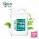 綠的GREEN 抗菌潔手乳加侖桶3800ml (茶樹清香)