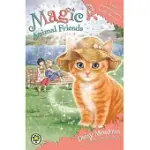 MAGIC ANIMAL FRIENDS: KATIE PRETTYWHISKERS TO THE RESCUE: BOOK 17