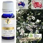 Gumleaf Essential Oils 100% Organic Tea Tree Massage And Diffuser | 100% PURE