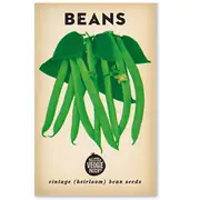 The Little Veggie Patch Co Heirloom Beans Seeds