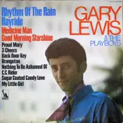 Gary Lewis & The Playboys - Rhythm Of The Rain / Hayride (VINYL)