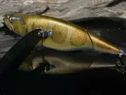 Megabass i-Wing 135mm Lure - MAMUSHI LIMITED COLOUR SP-C RARE COLOUR