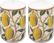The Leonardo Collection Fruits Salt & Pepper by William Morris | Elegant Ceramic Salt and Pepper Shakers with Iconic Fruits Design | Perfect for Dining Table or Kitchen Display