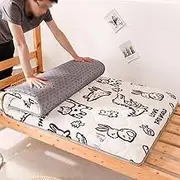 Japanese Futons Mattresses, Folding Soft Tatami Portable Floor Mattress, for Dormitory Guest Bed(B,120 * 200cm)