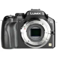 在飛比找Yahoo!奇摩拍賣優惠-【TK視聽】PANASONIC DMC-G5 機身歡迎政府機