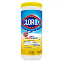 在飛比找蝦皮商城優惠-CLOROX高樂氏 居家殺菌濕紙巾(檸檬香) 35片【家樂福