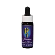 Fes Flower Essences FES Quintessentials Quaking Grass 7.5ml