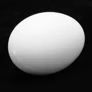 50pcs Plastic Fake Egg Solid Fake Egg Simulation Hatching Breeding
