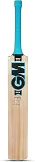 GM Neon Maestro Kashmir Willow Cricket Bat for Leather Ball |Full Size| Light Weight |Free Cover| (1601063)