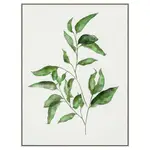 [OneWorld Collection] Botanica Leaf B Wall Art