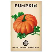 The Little Veggie Patch Co Pumpkin Heirloom Seeds