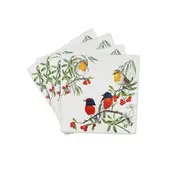 Red Breasted Robin Square Coaster Set of 4