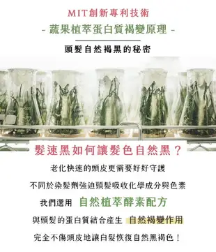 PURE HOME-髮速黑護髮噴霧 植萃護髮噴霧 白髮救星 純天然 免沖洗-2入組 海翔健康館