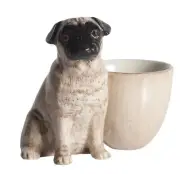 QUAIL Fawn Pug with Egg Cup