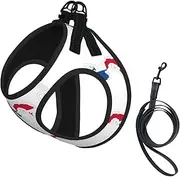 Panama Flag Map print Dog Harness and Leash Set, Reflective Adjustable Puppy Vest for Small Medium Large Dogs, Cats