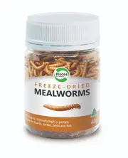 Pisces Aquatics Pisces Freezedried Mealworms Jar 40G (MEAL40)