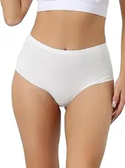 [Allegra K] Women's High Waist Silky Breathable Traceless Hipster Stretch Briefs
