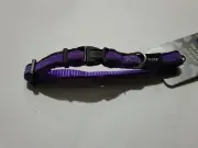 ROGZ Utility Control Web Dog Collar - Purple Small sizes - 20 - 31cm
