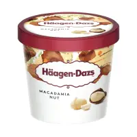 在飛比找家樂福線上購物網優惠-Haagen Dazs哈根達斯 夏威夷果仁迷你杯 100ml