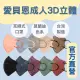 實體藥局✅現貨供應 愛貝恩 3D立體口罩 20入 莫蘭迪 立體耳繩 台灣製 成人立體 成人口罩 醫療口罩