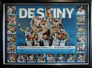 Destiny Cronulla Sharks 2016 NRL Premiers Limited Edition Framed Memorabilia COA