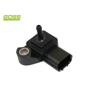RAE MAP Sensor - MP161