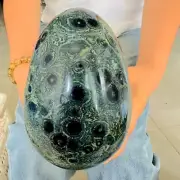 8.47LB TOP Natural Kambaba Quartz carved Crystal polishing egg mineral Specimen