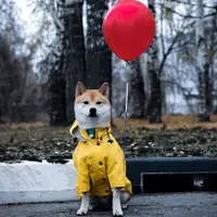 在飛比找蝦皮商城精選優惠-柴犬雨衣 大型犬雨衣 大狗雨衣 柯基雨衣 狗雨衣 寵物雨衣 