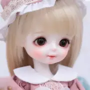 Mini 1/6 BJD SD Doll Girl Resin Ball Jointed Body Random Eyes Face Make up Wig