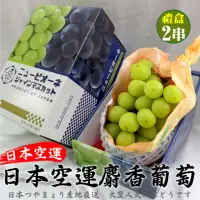在飛比找momo購物網優惠-【WANG 蔬果】日本麝香無籽葡萄1房x2盒(450-500