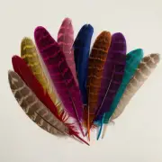 10pcs Natural Dyed Pheasant Feathers Bird Millinery Hat Scrapbook Craft #296
