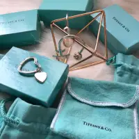 在飛比找蝦皮購物優惠-Tiffany 純銀鑰匙圈