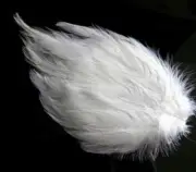 HACKLE FEATHER PAD - white New Pads; Headband/Hats/Bridal/Craft/Dress,sold by 3