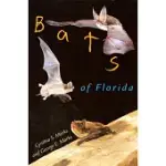BATS OF FLORIDA