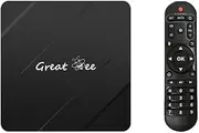 Great Bee Arabic TV Box Free for Life Set top Box Android 10 2G 16G Wireless 5G Lebanese Smart TV Box
