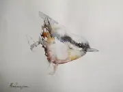 Warbler, Birds, Watercolor artwork, Handmade, Original painting on paper