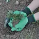 Garden Gloves 防水園藝挖土手套