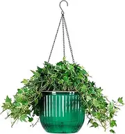 Self Watering Hanging Planter Indoor Plant Outdoor Flower Pot Basket Large Clear Plastic Garden Live Herb Orchid Wicker Succulent Spider Wall Hanger Big Hole Drainage Holder Window Chain House Real