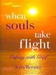 When Souls Take Flight ― Coping With Grief