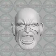 Reverse Flash v3 Eobard Thawne custom head for McFarlane DC & other figures