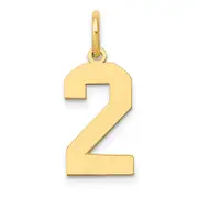 14k Yellow Gold 14k Medium Polished Number 2 Charm