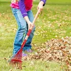 Lawn Rake Colorful Kids Garden Rake with Lightweight Hardwood Handle for Leaves
