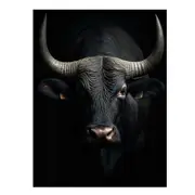 Bull Portrait Framed Canvas Print