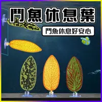 在飛比找蝦皮購物優惠-【台灣出貨】鬥魚休息產卵葉 三種款式 鬥魚葉 鬥魚床 鬥魚休